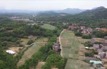 廣東陽(yáng)春：挖掘產(chǎn)業(yè)特色資源 走出因地制宜致富路