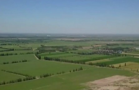 新疆：高標(biāo)準(zhǔn)穩(wěn)糧優(yōu)糧 推動(dòng)糧食生產(chǎn)能力可持續(xù)增長