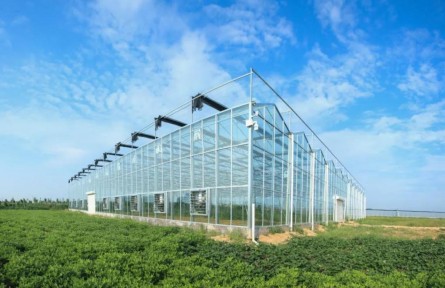 山東濟寧曲阜市：龍頭農(nóng)企帶動特色產(chǎn)業(yè)集群