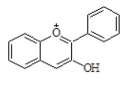 科技名詞 | 花青素