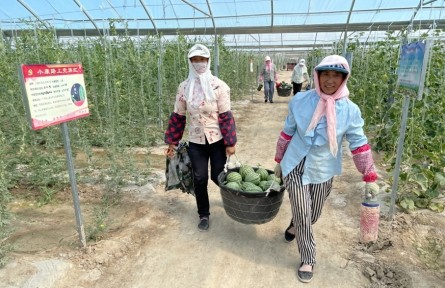 高效節(jié)水 豐收戈壁——甘肅高效節(jié)水推動區(qū)域經濟社會高質量發(fā)展