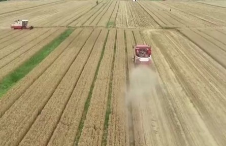 我國秋糧面積預(yù)計(jì)增加12.9億畝 豐收有基礎(chǔ)