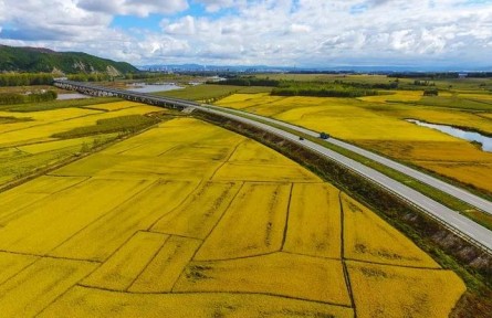 黑龍江牡丹江簽訂農(nóng)田托管合同總面積超160萬(wàn)畝