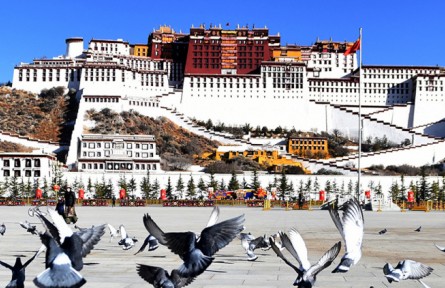 西藏和平解放70周年：建設(shè)美麗幸福西藏 各族人民幸福感越來越強(qiáng)