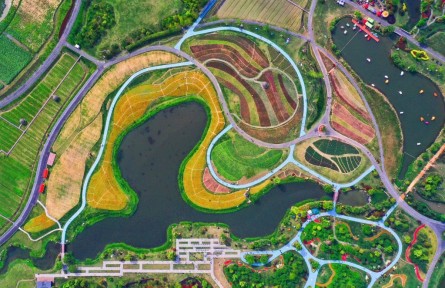 第一觀察|如何促進(jìn)共同富裕，總書記這樣部署