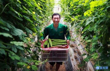 山東省東營市：鄉(xiāng)村振興的“東營密碼”