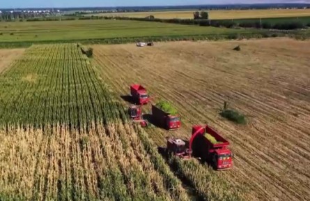 新疆：600多萬(wàn)畝青貯玉米喜獲豐收進(jìn)入收割季 推行農(nóng)畜種養(yǎng)結(jié)合發(fā)展模式