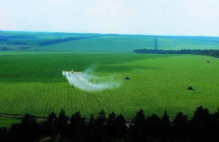 黑龍江試點三大糧食作物完全成本保險