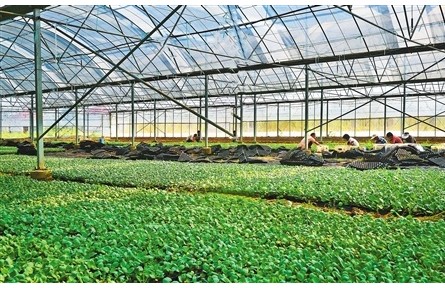 南陽重耕——踐行習(xí)近平經(jīng)濟思想調(diào)研記