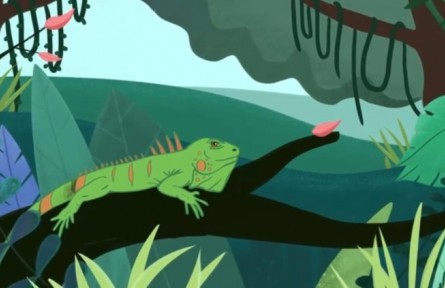 海關(guān)科普微動(dòng)漫：外來(lái)物種請(qǐng)走開?