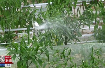 貴州：推進(jìn)高標(biāo)準(zhǔn)農(nóng)田建設(shè) 加快農(nóng)業(yè)現(xiàn)代化進(jìn)程