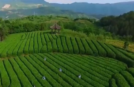 陜西：加大產(chǎn)業(yè)支持力度 引領(lǐng)農(nóng)民創(chuàng)業(yè)增收