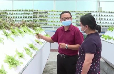 河北正定：全面推進(jìn)鄉(xiāng)村振興 加快推進(jìn)農(nóng)業(yè)農(nóng)村現(xiàn)代化