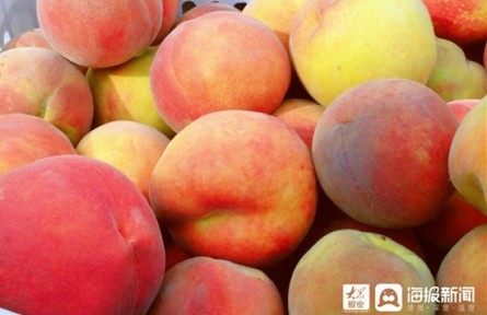 山東省東營市廣饒縣李鵲鎮(zhèn)：農(nóng)文旅融合惠民生 打造鄉(xiāng)村振興新樣板