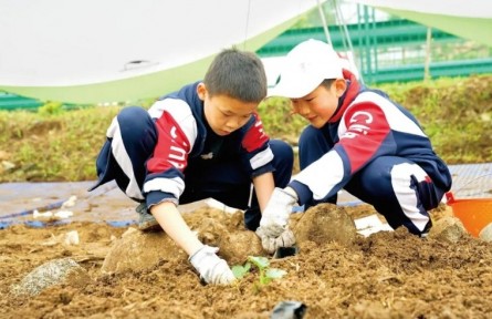 稻麥不分、牛羊不辨 勞動(dòng)意識(shí)不容有“缺”