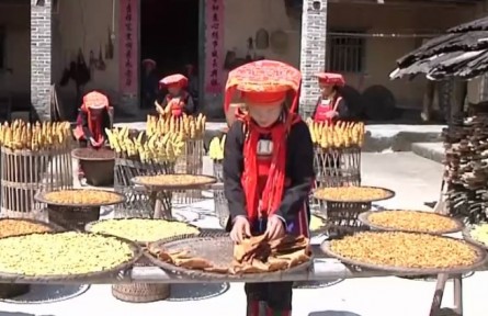 廣西桂平：竹筍上市供不應(yīng)求 特色產(chǎn)業(yè)助農(nóng)增收