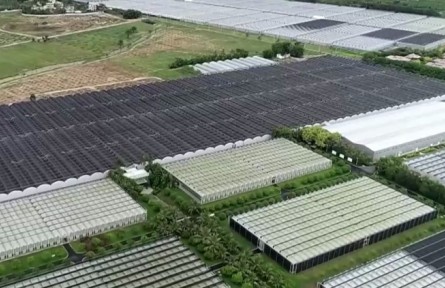 海南陵水：科技助力 吹著空調來種田