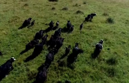 四川省紅原縣：依托產(chǎn)業(yè)實現(xiàn)脫貧 領(lǐng)略發(fā)展新風(fēng)貌