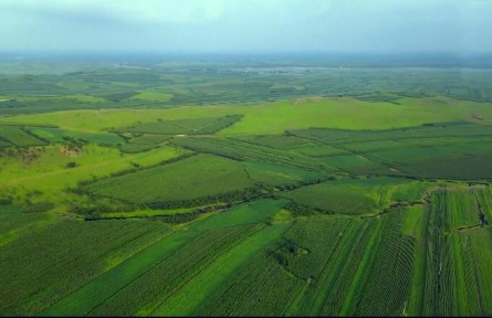 我國重要的糧食產(chǎn)地，奮斗50年才有的北大倉，為何退耕還荒不種了