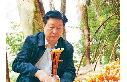 《山海情》蘑菇專家原型、“最美教師”林占熺：心心念念的，永遠是菌草