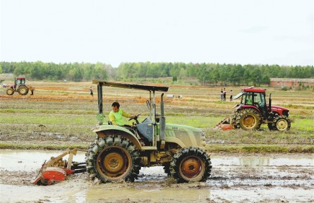 江西吉水：萬臺農(nóng)機(jī)鬧春耕 智能種田“科技范”