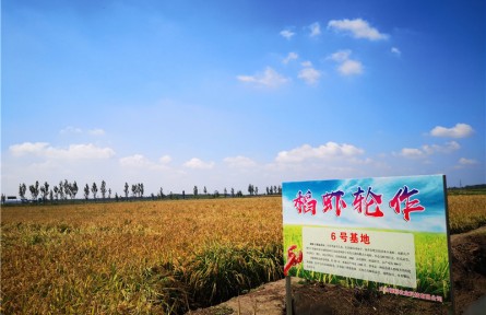 山東省淄博市高青縣：資源變資產(chǎn) 資金變股金 農(nóng)民變股東