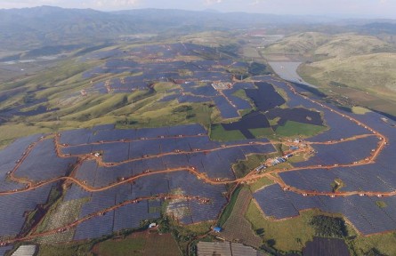 云南紅河：“陽光產業(yè)”為鄉(xiāng)村振興注入動力