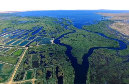 新疆福海烏倫古湖區(qū)域走好生態(tài)效益與經濟效益雙贏之路