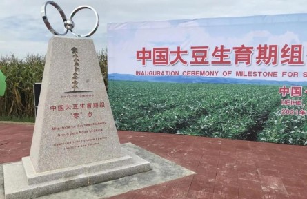中國大豆“零”點標(biāo)識碑“定”在黑龍江黑河