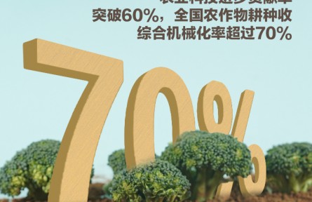 中國產(chǎn)糧能力有多強？這些數(shù)據(jù)告訴你答案