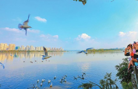 四川：“鳥口普查”怎么查？