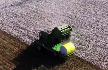 超壯觀！新疆棉花原來(lái)是這么采的