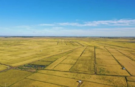 黑龍江：北國(guó)大糧倉(cāng)的矚目成就