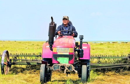 內(nèi)蒙古呼倫貝爾：農(nóng)牧業(yè)發(fā)展勢(shì)頭強(qiáng)勁 現(xiàn)代化步伐穩(wěn)步推進(jìn)