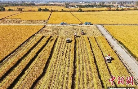 中國(guó)式現(xiàn)代化“新途”何解？