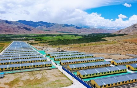 西藏山南隆子縣：藏香豬養(yǎng)殖助農增收致富