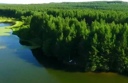 河北：向綠深行！塞罕壩這四年！