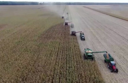 有力農業(yè)振興政策加快推進農業(yè)科技現代化