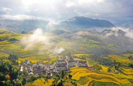 浙江五年內(nèi)將培育10萬名農(nóng)創(chuàng)客 輻射帶動(dòng)100萬名農(nóng)民實(shí)現(xiàn)增收