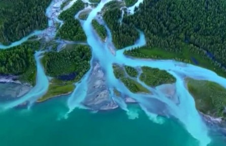 新疆：生態(tài)產業(yè)協(xié)同發(fā)展 添綠又“生金”