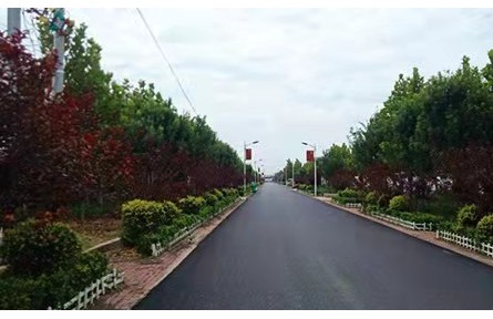 山東廣饒花官鎮(zhèn)：黨建引領(lǐng)強(qiáng)產(chǎn)業(yè) 鄉(xiāng)村振興增動(dòng)力