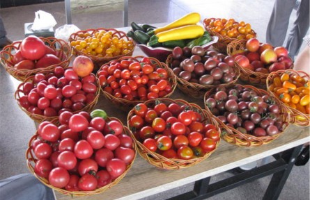 內(nèi)蒙古達(dá)拉特旗：讓農(nóng)民挑上“金扁擔(dān)”