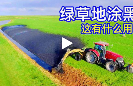 不可思議的挖泥機(jī)，為什么荷蘭人要把草地“涂黑”
