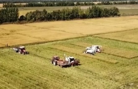 黑龍江不斷提升科技水平 推動農業(yè)現(xiàn)代化發(fā)展