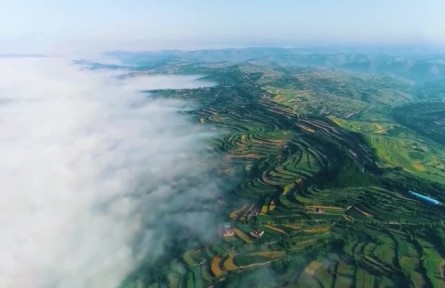 促進生物多樣性保護 共建地球生命共同體