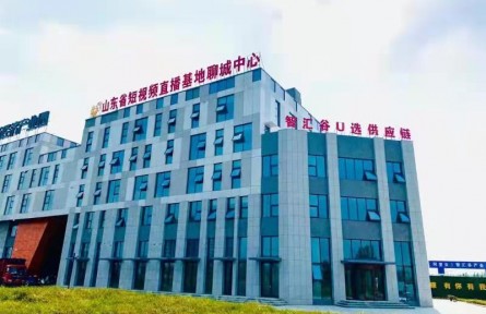 山東省聊城高新區(qū)：“電商＋產(chǎn)業(yè)基地＋農(nóng)戶(hù)”模式助力鄉(xiāng)村振興