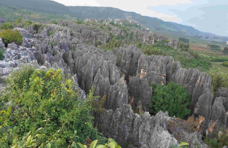 科技名詞 | 生物多樣性保護(hù)策略