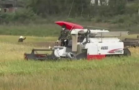 豐收中國·四川劍閣：打造高標準農田 多項措施提升糧食產量