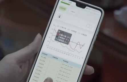 豐收中國·廣東梅州：大數據賦能柚子產業(yè)
