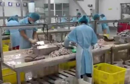 豐收中國·江蘇如皋：小黑魚“游”出完整產(chǎn)業(yè)鏈